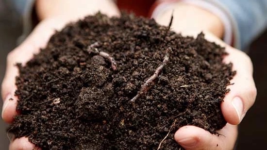 Compost for your garden