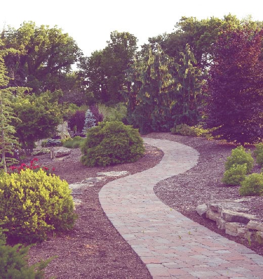 Photo of a path that leads through Frisella Nursery