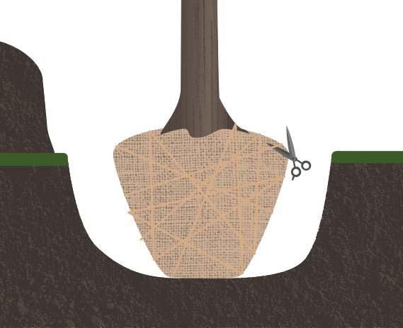 Illustration of a pair of scissors cutting twine