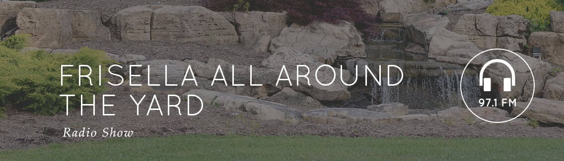 Frisella All Around the Yard podcast banner