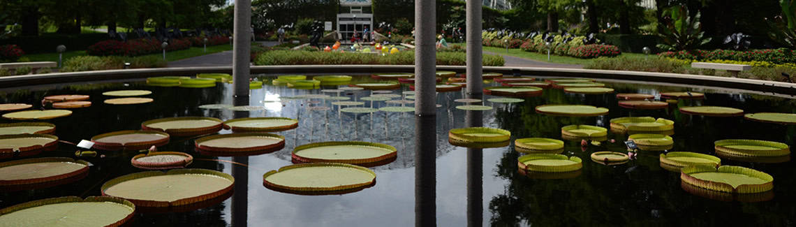 Gardens Of The World Missouri Botanical Garden Frisella Nursery