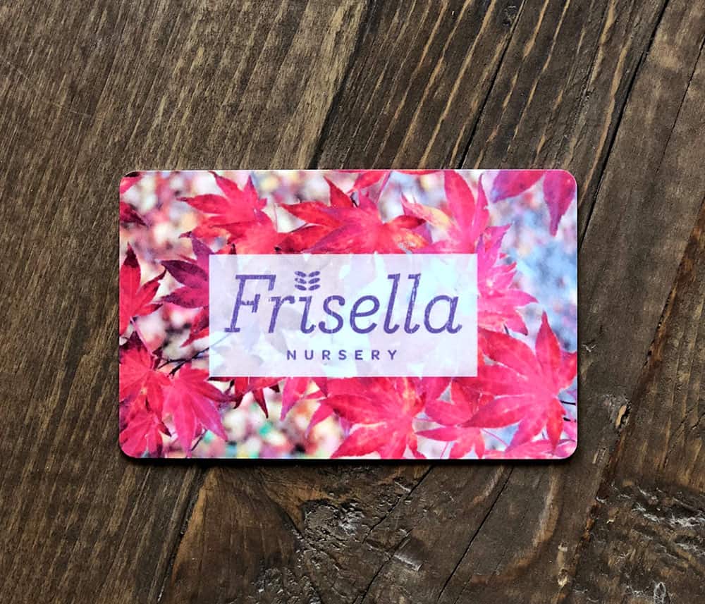 Photo of a Frisella Nursery gift card on a wood table