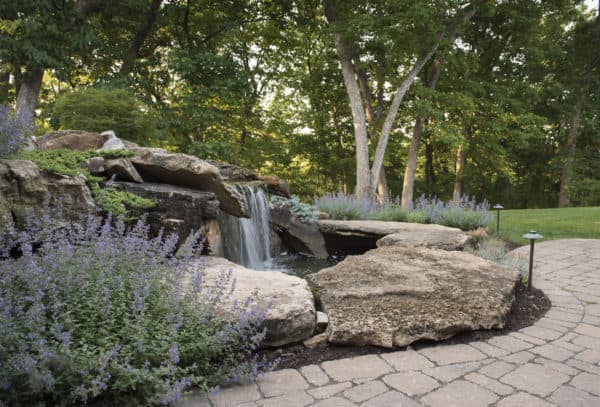 St. Louis Landscaping Sunset Hills waterfall, Southern Magnolia, Hydrangea