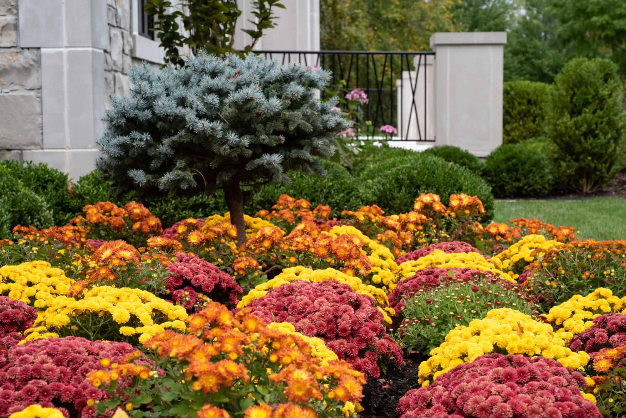 to Frisella Nursery Garden Center & Landscape Services for