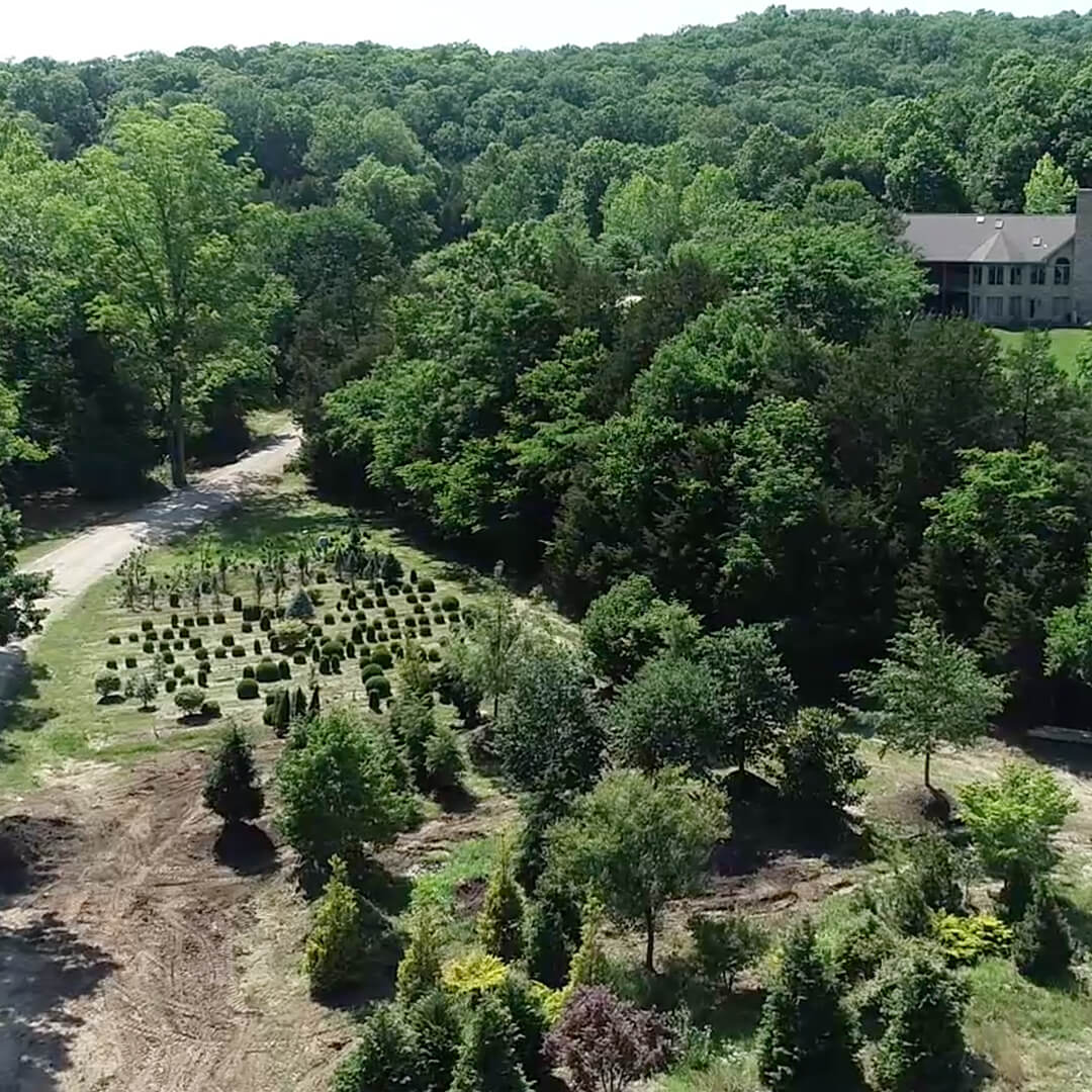 Aerial view of the Frisella Nursery Tree Farm