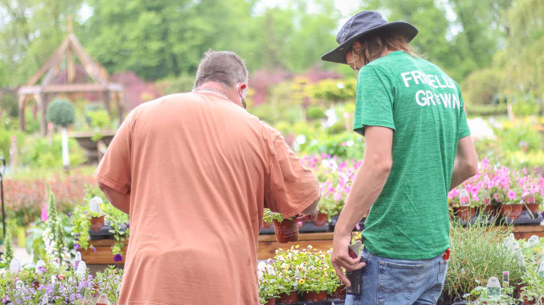 Frisella Plant Specialists helping our guests pick the perfect plants