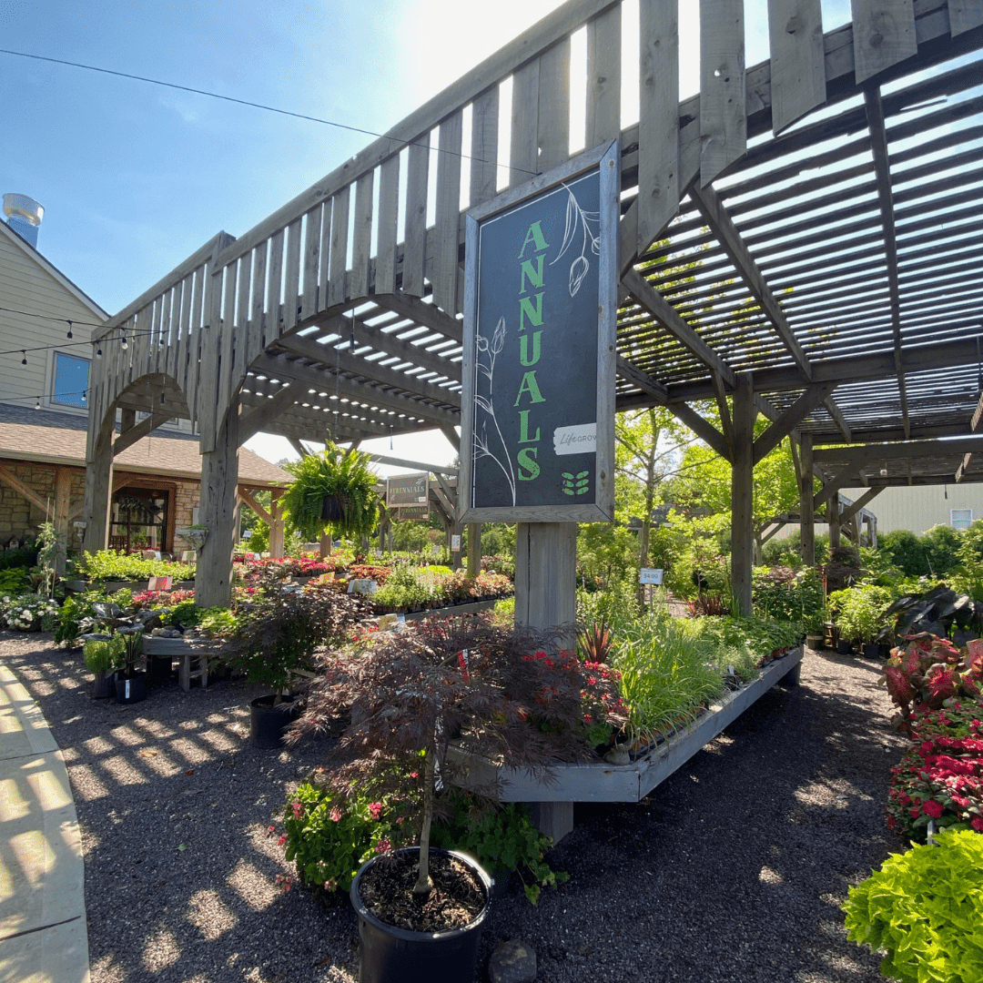Annual section at Frisella Nursery