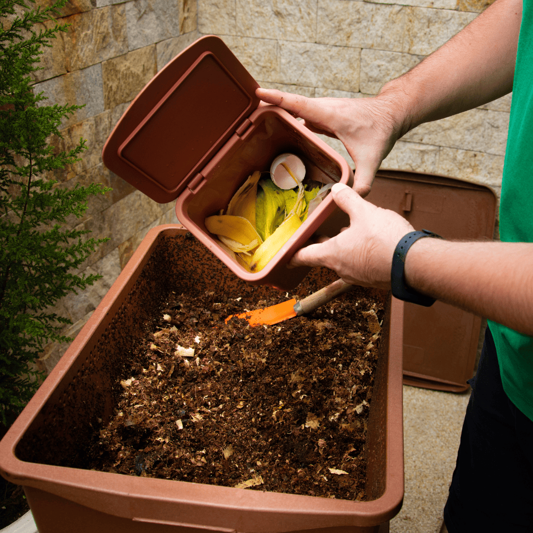 III. Selecting the Right Ingredients for Your Compost