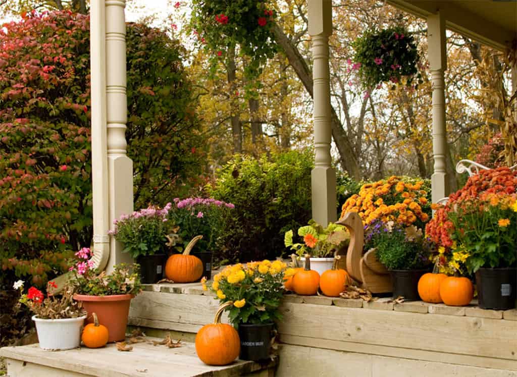 Designing Stunning Fall Containers