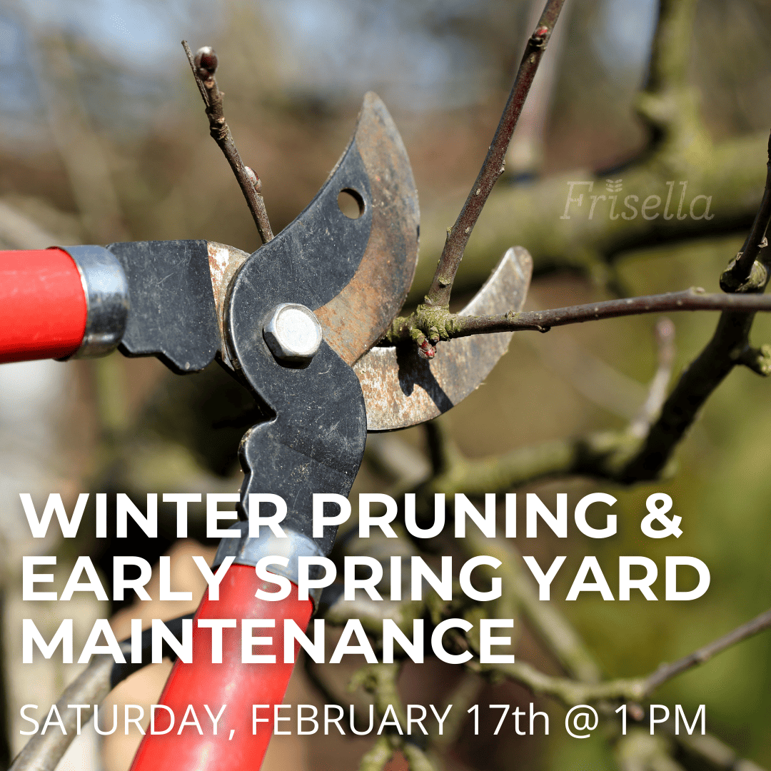 Winter pruning and early spring yard maintenance at Frisella Nursery!