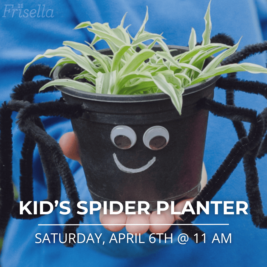 Kids spider planter