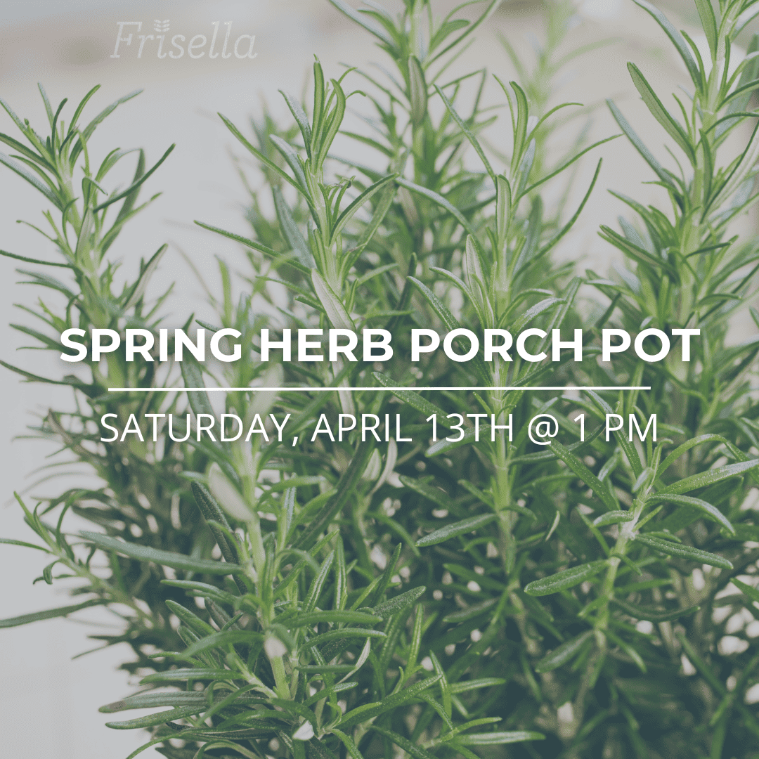 spring herb porch pot