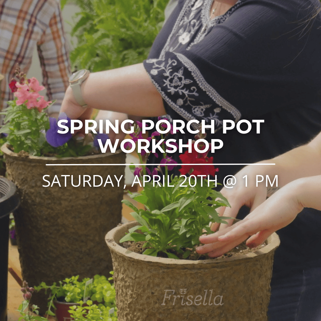 spring porch pot workshop