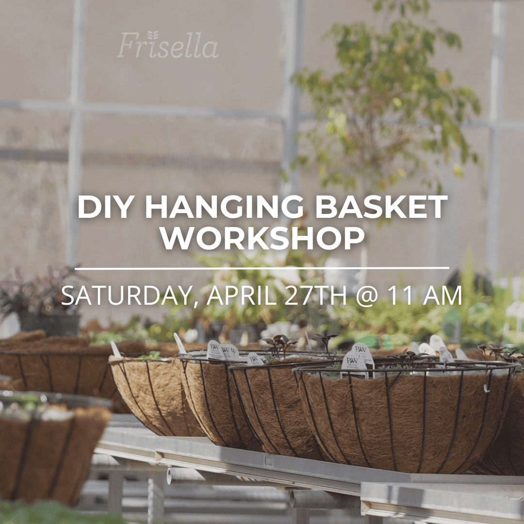 Build your own hanging basket