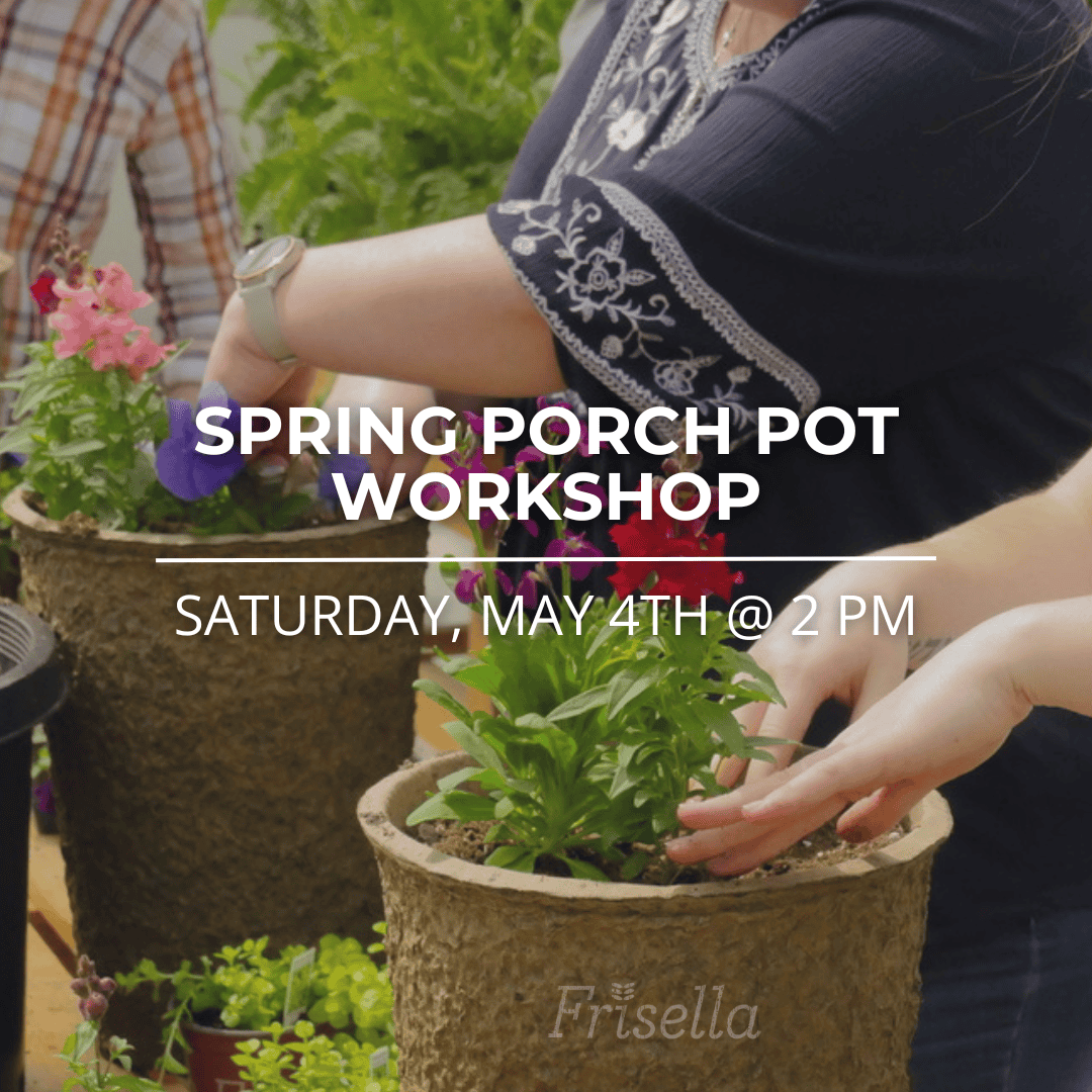 spring porch pot - may 4th 2024